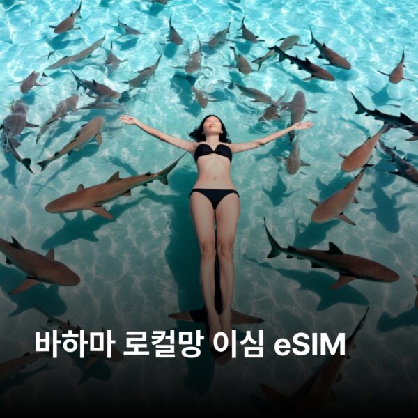 바하마 로컬망 이심 eSIM Aliv network - 데이터 1GB / 유효기간 7일