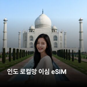 인도 3 GB - 30 일