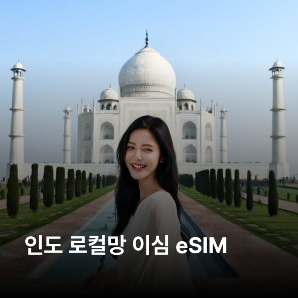 인도 3 GB - 30 일