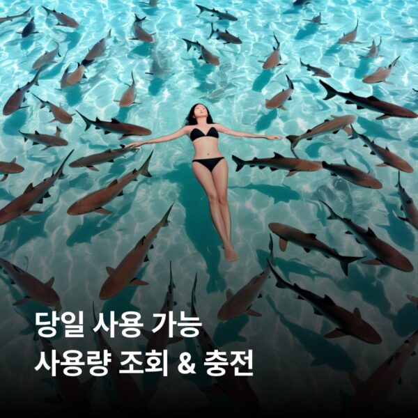바하마 로컬망 이심 eSIM Aliv network - 데이터 1GB / 유효기간 7일 - 이미지 4