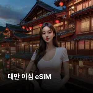 대만 1 GB - 7 일