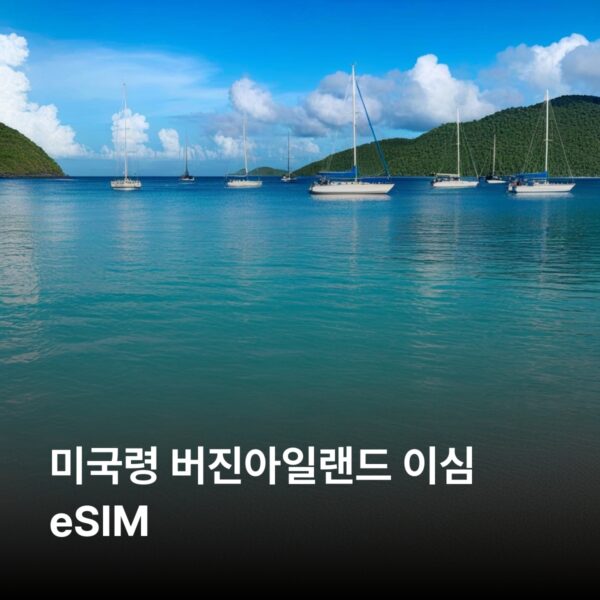 버진아일랜드(미국령) 이심 eSIM 30일 데이터 총20GB 이심통
