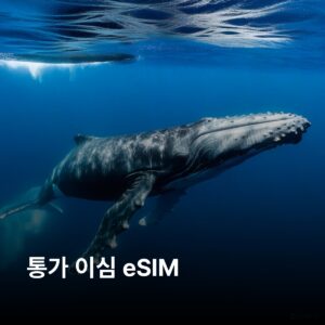 통가 3 GB - 30 일