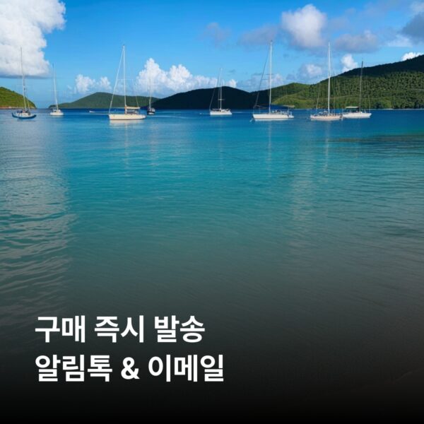 버진아일랜드(미국령) 이심 eSIM 30일 데이터 총20GB 이심통 - 이미지 3