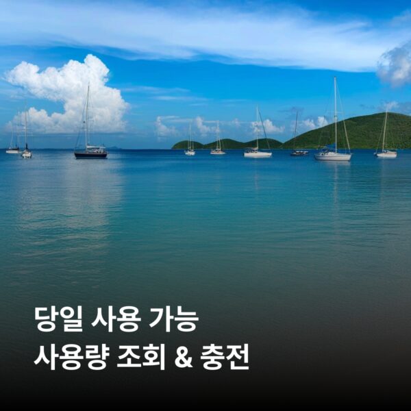 버진아일랜드(미국령) 이심 eSIM 30일 데이터 총20GB 이심통 - 이미지 4