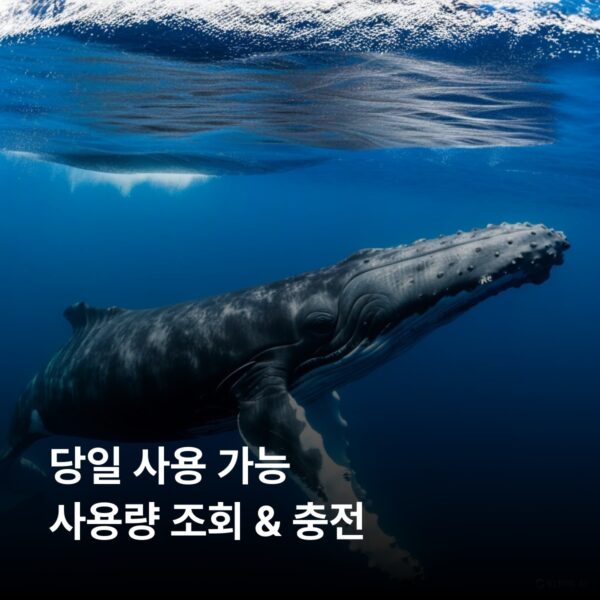 통가 3 GB - 30 일 - 이미지 4