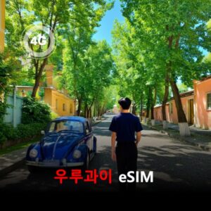 우루과이 이심 eSIM 15일 데이터 총2GB 이심통