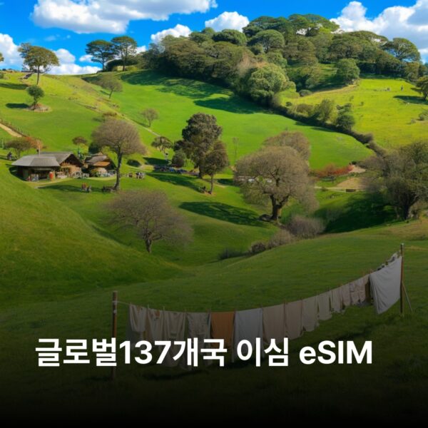 글로벌137개국 이심 eSIM 60일 총 데이터 5GB / 통화 50분 / 문자 50개