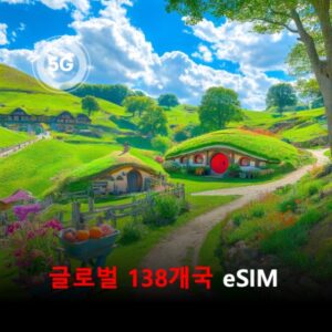 글로벌 138개국 이심 eSIM 유효기간60일 데이터 총5GB 이심통