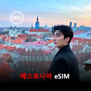 [통큰무제한] 에스토니아 이심 eSIM 데이터 매일 3GB 초고속 이후 1MB 고속 무제한 이심통 / 이용일수 10일