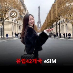 [통큰무제한] 유럽 42개국 이심 eSIM 데이터 매일 3GB 초고속 이후 1Mbps 고속 무제한 / 이용일수 10일 이심통