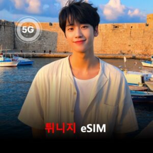 [통큰무제한] 튀니지 이심 eSIM 데이터 매일 3GB 초고속 이후 1MB 고속 무제한 이심통 / 이용일수 10일
