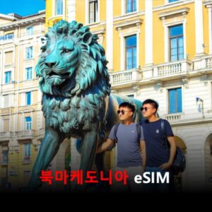 [통큰무제한] 북마케도니아 이심 eSIM 데이터 매일 3GB 초고속 이후 1Mbps 고속 무제한 이심통 / 이용일수 10일