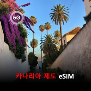 [통큰무제한] 카나리아 제도 이심 eSIM 데이터 매일 3GB 초고속 이후 1Mbps 고속 무제한 / 이용일수 10일 이심통