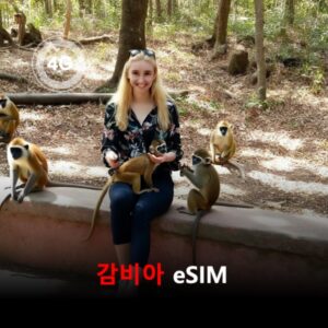 감비아 이심 eSIM 15일 데이터 총2GB 이심통