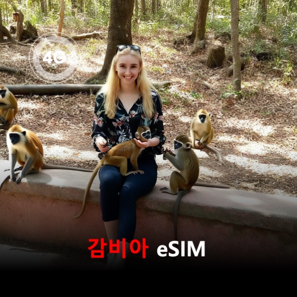 감비아 이심 eSIM 30일 데이터 총3GB 이심통