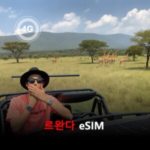 [통큰무제한] 르완다 이심 eSIM 데이터 매일 3GB 초고속 이후 1Mbps 고속 무제한 / 이용일수 10일 이심통