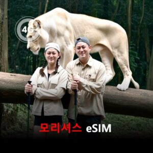 [통큰무제한] 모리셔스 이심 eSIM 데이터 매일 3GB 초고속 이후 1Mbps 고속 무제한 / 이용일수 3일 이심통