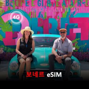 [통큰무제한] 보네르 이심 eSIM 데이터 매일 3GB 초고속 이후 1Mbps 고속 무제한 / 이용일수 10일 이심통