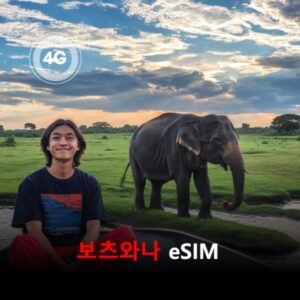 보츠와나 이심 eSIM 유효기간15일 데이터 총2GB 이심통