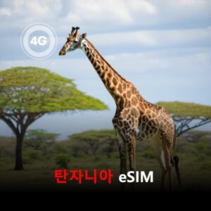 [통큰무제한] 탄자니아 이심 eSIM 데이터 매일 3GB 초고속 이후 1Mbps 고속 무제한 / 이용일수 15일 이심통