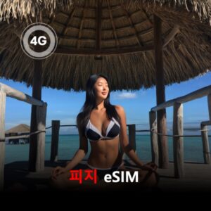 [통큰무제한] 피지 이심 eSIM 데이터 매일 3GB 초고속 이후 1Mbps 고속 무제한 / 이용일수 10일 이심통