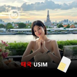 [유심칩] 태국 유심 USIM 데이터 매일 무제한 이심통