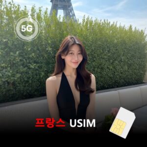 [유심칩] 프랑스 유심 USIM 데이터 매일 무제한 이심통 | 무료배송