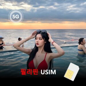 [유심칩] 필리핀 유심 USIM 데이터 매일 무제한 이심통 | 무료배송